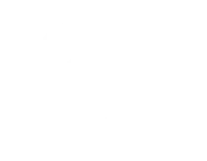 K9 Dog Training Ireland